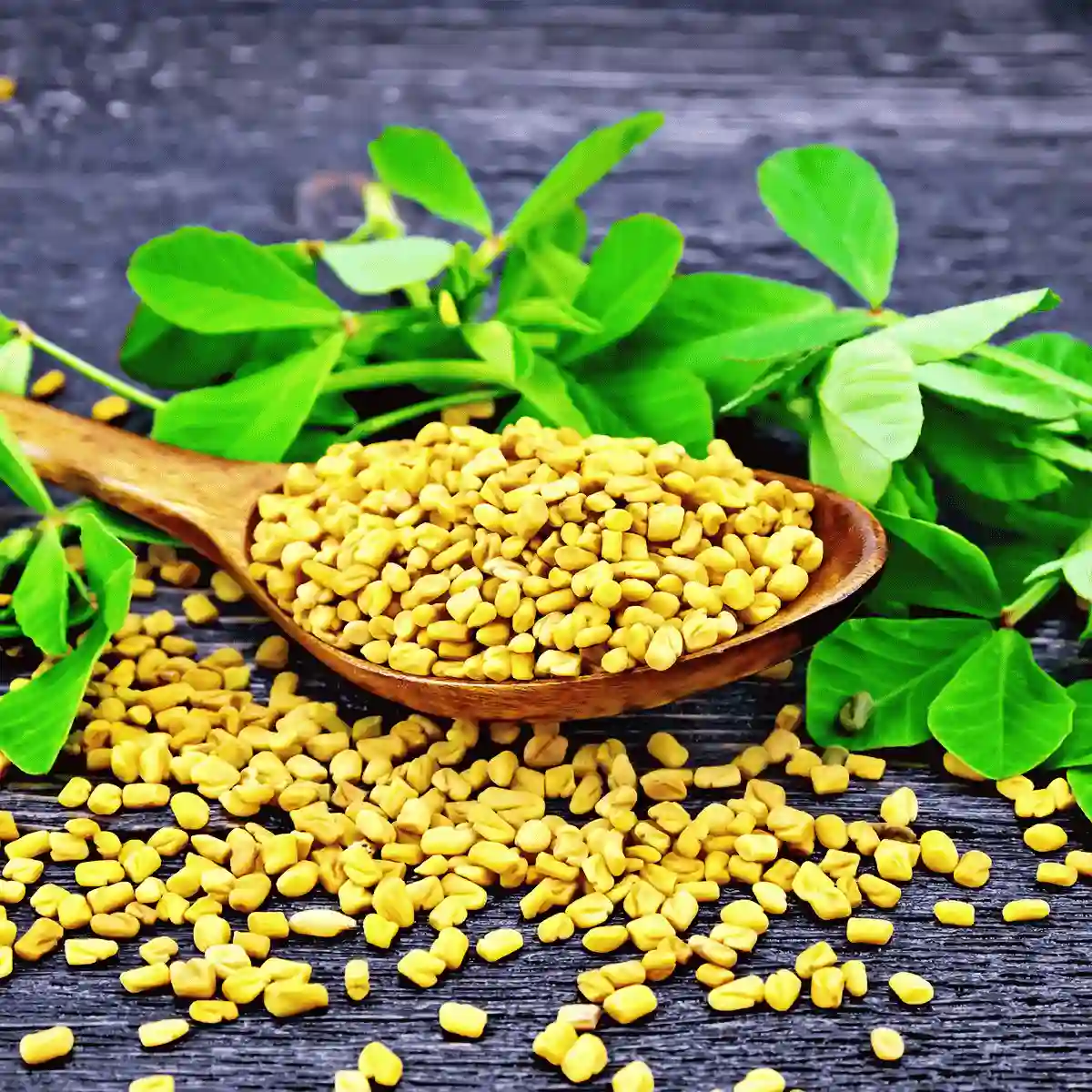 fenugreek seeds
